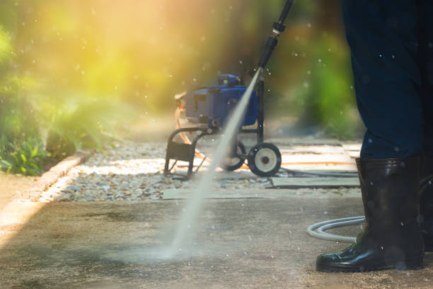 Best Spring Cleaning  in Palmview, TX